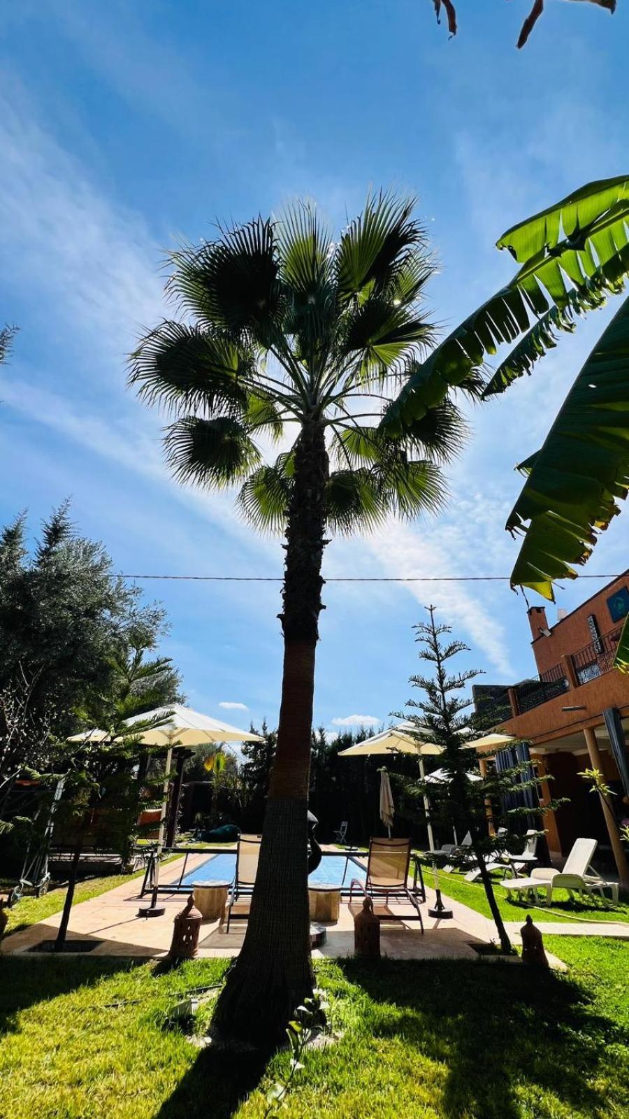 Ilafe Farmhouse, Villa Avec Piscine Chauffee Privee Et Jacuzzi Pour Familles Marrakesh Buitenkant foto