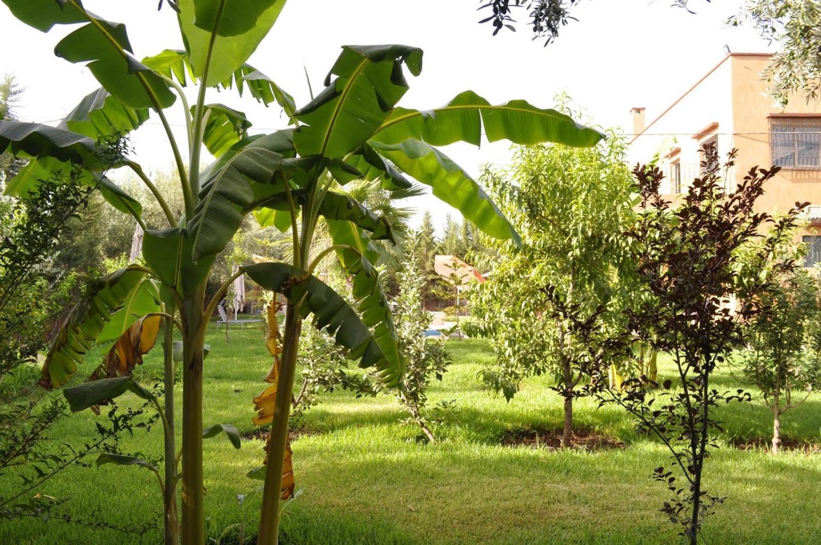 Ilafe Farmhouse, Villa Avec Piscine Chauffee Privee Et Jacuzzi Pour Familles Marrakesh Buitenkant foto